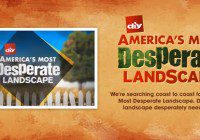 Desperate Landscapes
