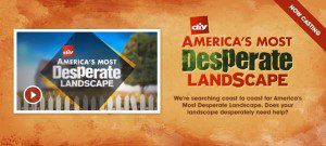 Read more about the article DIY Network “Desperate Landscapes”