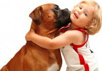 Casting pet lover for a reality show