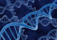 DNA Casting