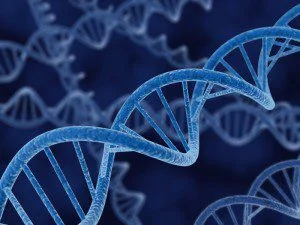 DNA Casting