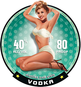 Read more about the article Promo models in NYC for Vodka Company
