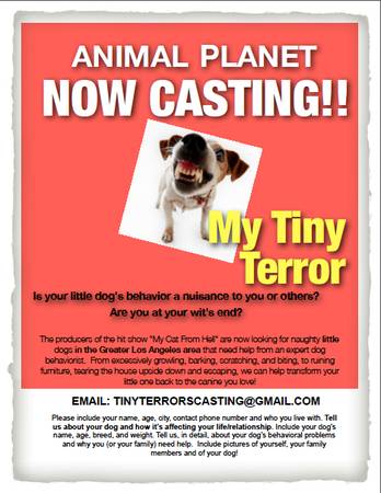 Casting call for Dogs