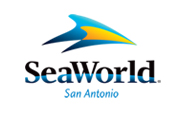 Read more about the article Open Auditions for Singers, Dancers & Actors in Sea World San Antonio, TX