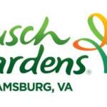 Busch Gardens