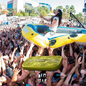 Steve Aoki raft surk