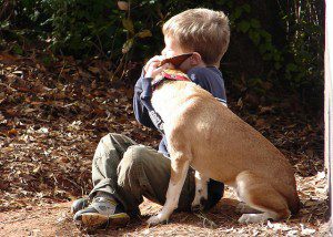 Read more about the article Major Production Company now casting kids and their dogs in Los Angeles