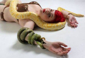 New series casting Women who can “sun snuggle” with a boa (yeah, the snake)