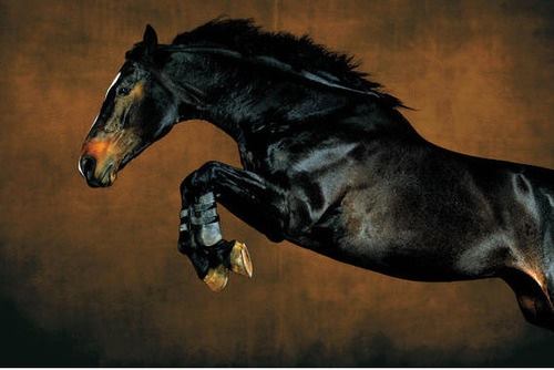 Background talent wanted for The Sunday Horse filming in Conyers, GA