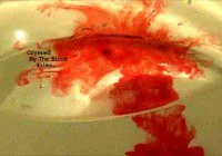 acting auditions for horror film in Chicago