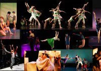 Contradiction Dance Company