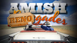 Home renovation show casting vegas homeowners