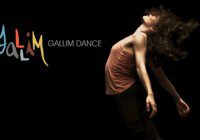 Auditions for Gallim Dance Company