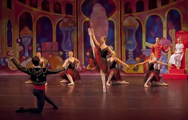 Ballet Auditions - Twin Cities dance