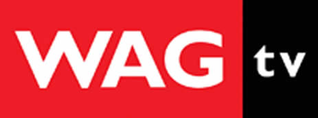 Wag TV casting call in Detroit