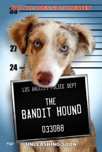 casting call for dogs