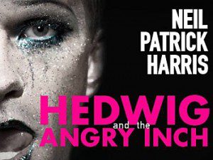 Read more about the article Performer Needed in Oakland to Play Hedwig at a Private Event