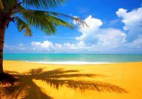 Paradise living Show now casting ex's