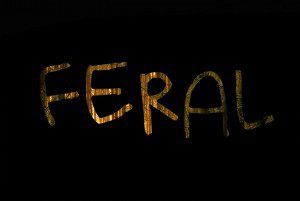 "Feral" movie Philly