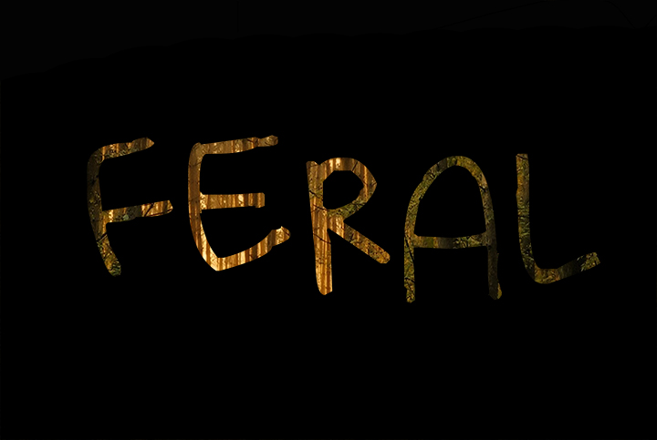 "Feral" movie Philly