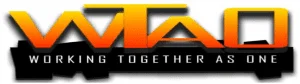 WTAO 2015 / 2016 auditions Houston