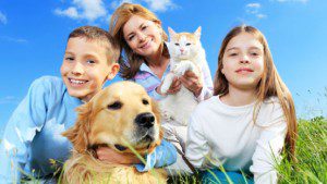 Read more about the article Modeling Job for People With Pets in Los Angeles