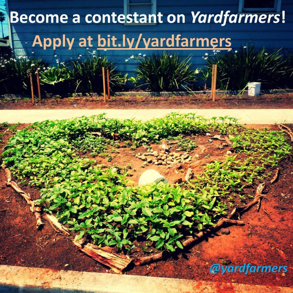 casting new yard farm show