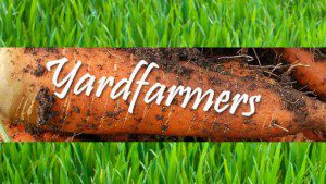 New Reality Show is Casting Millennials for YardFarmers