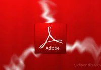 Host wanted for Adoibe videos