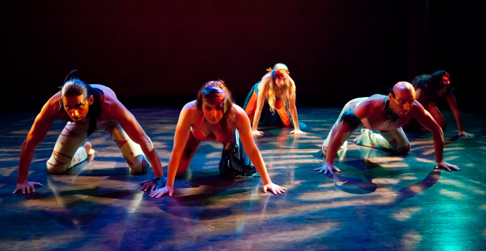 Dance Collective NYC