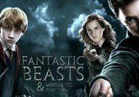Fantastic Beasts and Where to find them Auditions announced