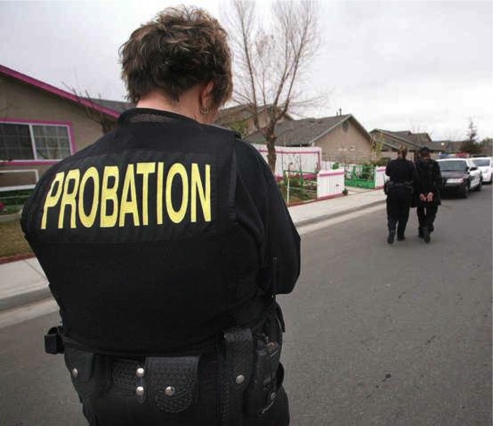 The Felon reality show