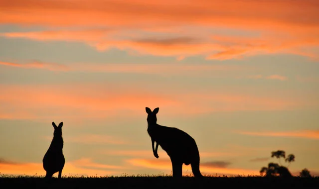 Brisbane Australia singer and dancer auditions