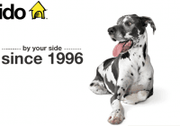 Toronto casting call for FIDO TV commercial
