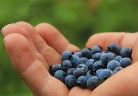 TV commercial video auditions for food first timers
