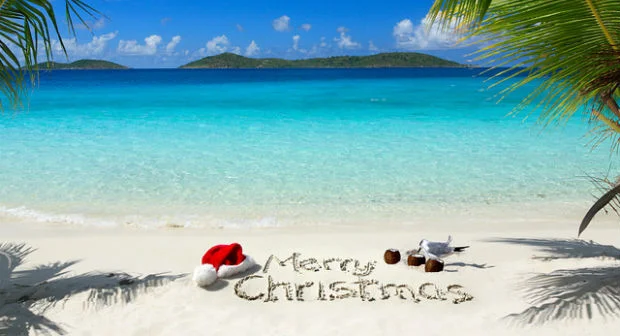 casting-families-holiday-show
