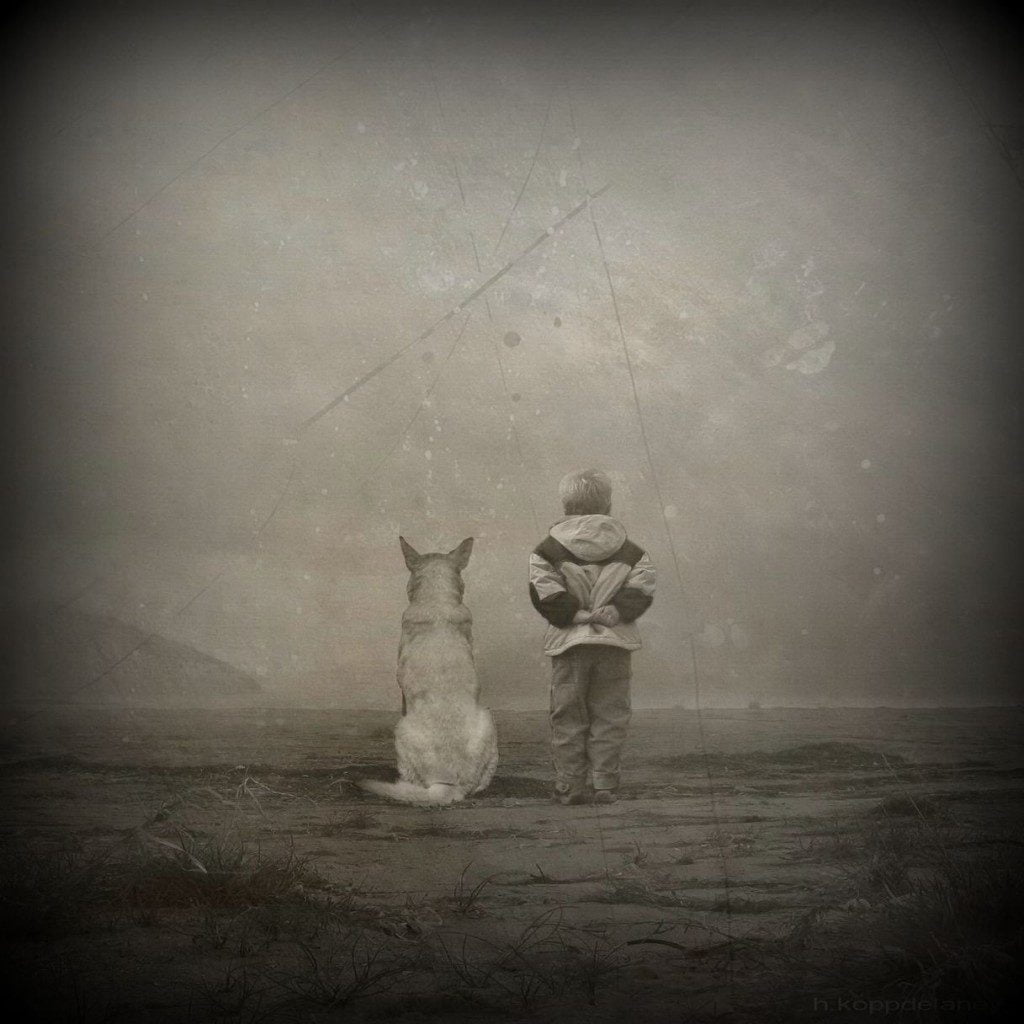 online auditions for dogs Red Tuesday