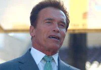 Arnold 478 movie