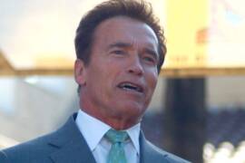 Arnold 478 movie
