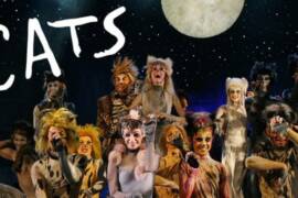Cats