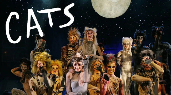 Cats