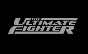 Read more about the article Tryout for “The Ultimate Fighter” 2016 in Las Vegas