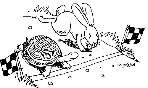 turtle-hare