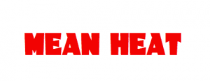 Read more about the article L.A. Indie Film “Mean Heat”