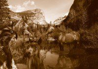 Native American Actress in Los Angeles