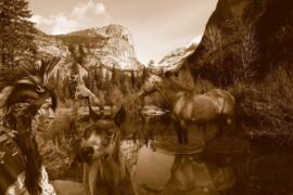 Native American Actress in Los Angeles