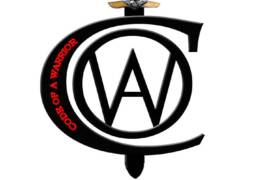 The Code Warrior
