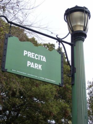 Bay Area Auditions for Short Movie “Precita Park”
