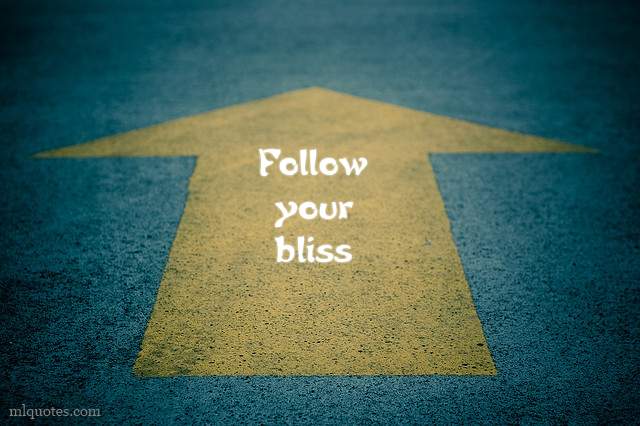 followyourbliss