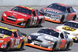 Nascar fan casting